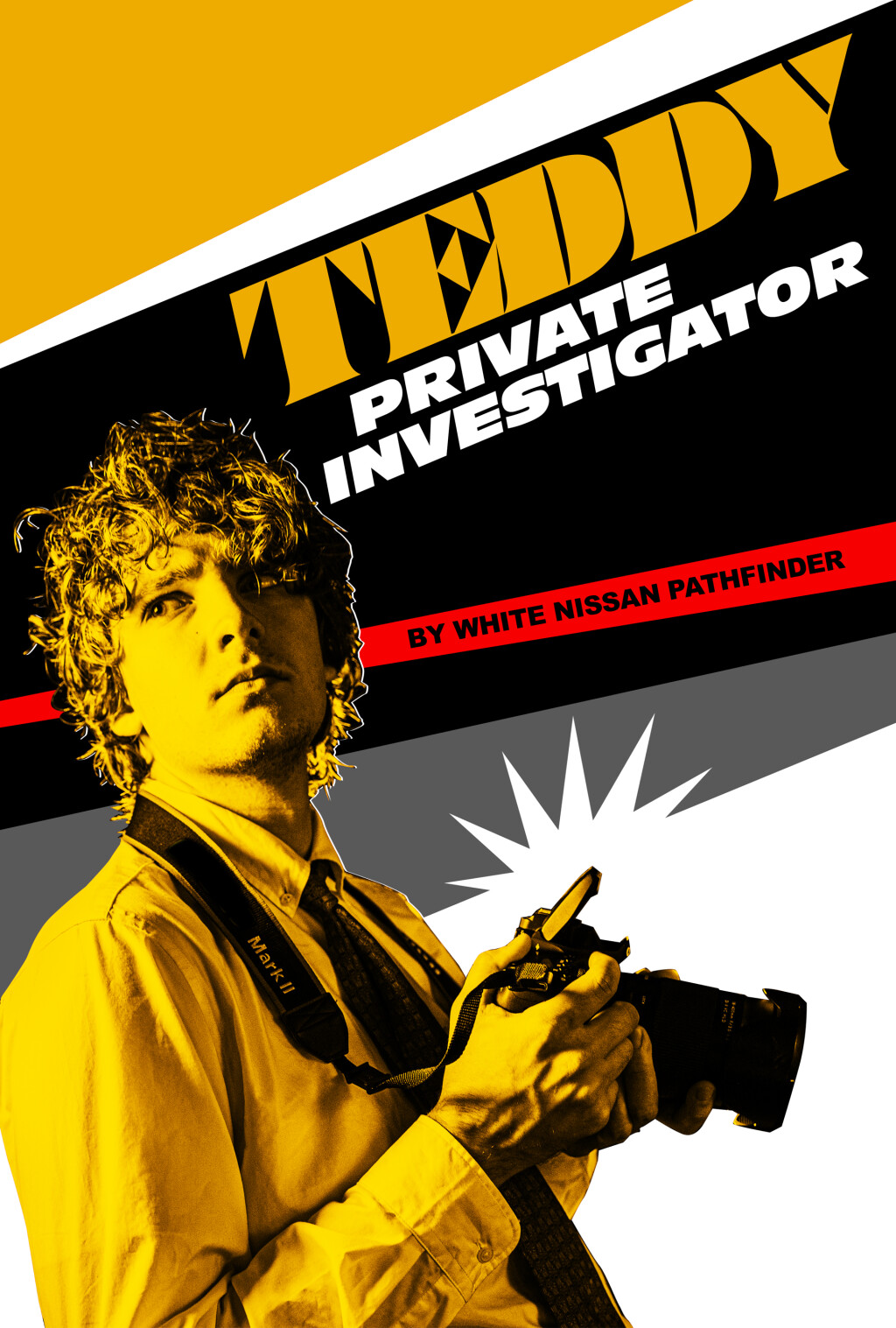 Filmposter for Teddy, Private Investigator